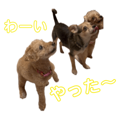 hachien_20240720221335