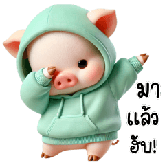 Piggy cute : Chat every day