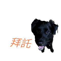 拜託 再見 早安