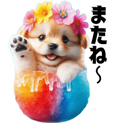 Shaved Ice Puppy