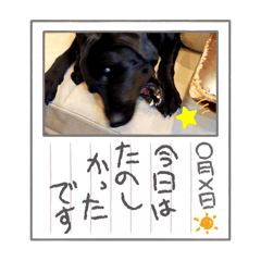 morima_20240721073556