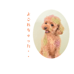 mocomommy_20240721163536