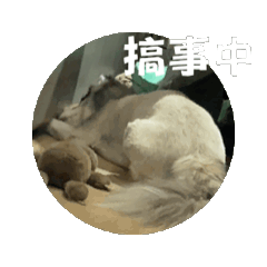 CHIA-I_20240720155541