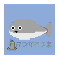 himako_20240720173350