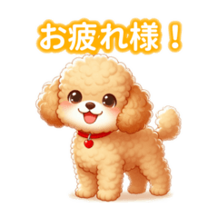 Anyways, the Toy Poodle is so cute.