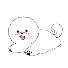 Mofu Mofu Bichon Frise