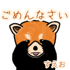 Sueo's lesser panda