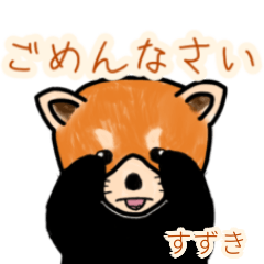 Suzuki's lesser panda