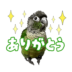 bird_ryokuchan