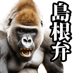 Gorilla in Shimane