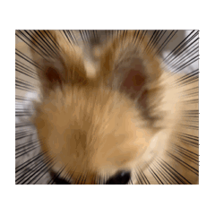 SAYURI_20240721191223