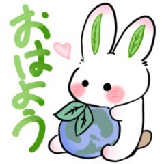 sasami's cute rabbit