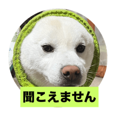 ryosun_20240721214456