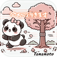 Yamamoto's Panda Easy Phrases 1