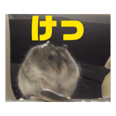 Michael_20240722130115