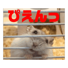 Michael_20240722121844