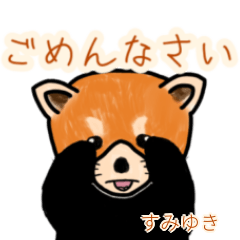 Sumiyuki's lesser panda