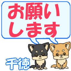 Sentoku's letters Chihuahua2