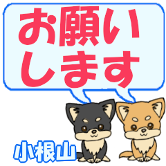 Oneyama's letters Chihuahua2