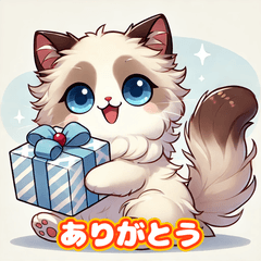 Ragdoll Cat Ragnyan