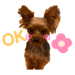 OTKH_20240722102339