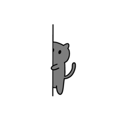 YY是一隻貓