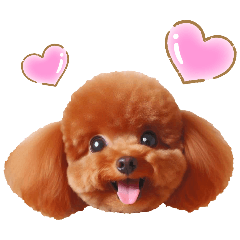 Red Toy Poodle Stamp