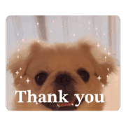Anko_20240722215845