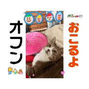 NEKO BASIRA_20240721161005