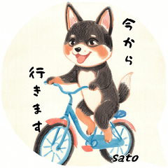 Shiba Inu Phrases for Sato 1