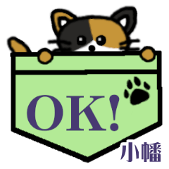 Obata's Pocket Cat's  [42]