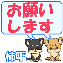 Kakihira's letters Chihuahua2