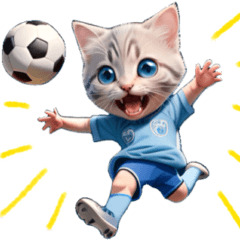 Anime Cat  Soccer No Characters