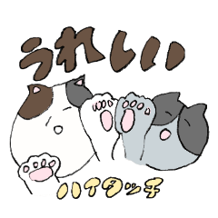 AKKY's Dreaming Cats LINE Sticker.