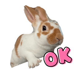 kinaco_20240722202456