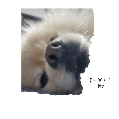 marri_20240722222839