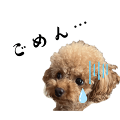 mocomommy_20240722214605