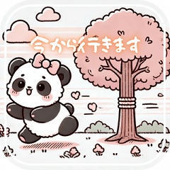 okada's Panda Easy Phrases 1