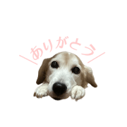 eee_20240723011406