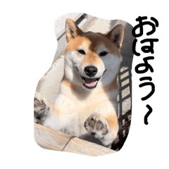 nakasuzu_20240723135858