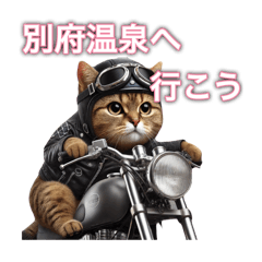 Cat riding a motorcycle