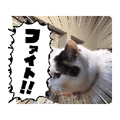 Namihei_20240723234531