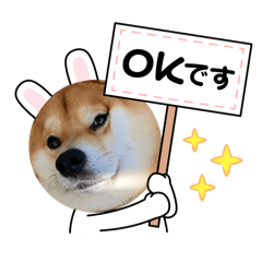 otabe_20240723153359