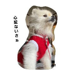 marri_20240723182049