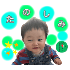 falcon_20240723215707