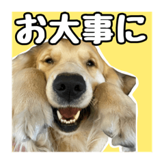 ドーリーと愉快な仲間たち2