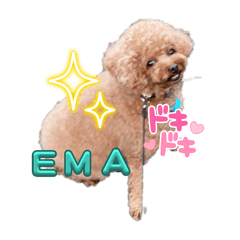 ema_0502     2