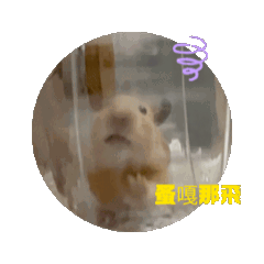 我是忙鼠人