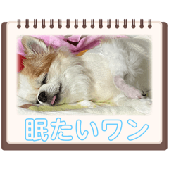 mush_20240724082730
