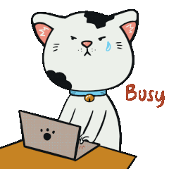 Kitty cute cat